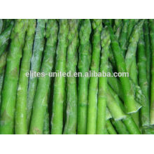 iqf green asparagus cut